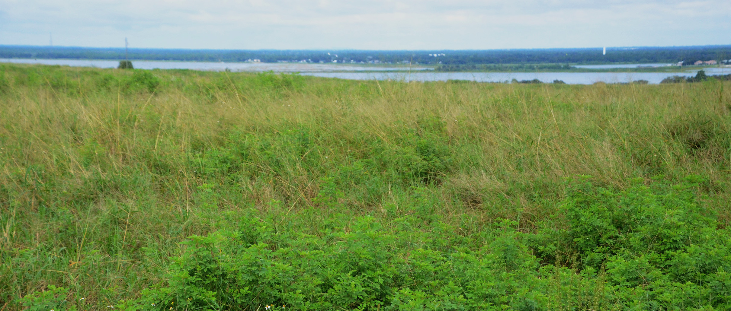 key parcel overlooking Crooked Lake